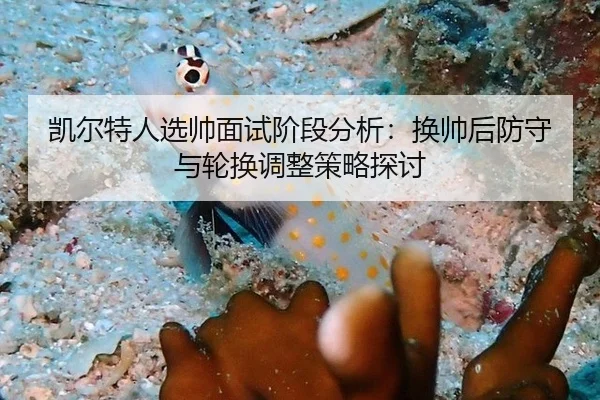 凯尔特人选帅面试阶段分析：换帅后防守与轮换调整策略探讨